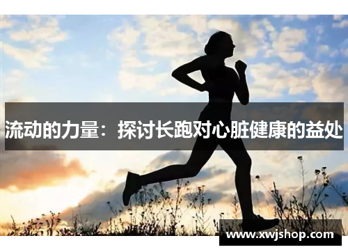 流动的力量：探讨长跑对心脏健康的益处